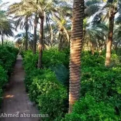 Wasit Archaeological Site - Al Kut