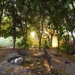 Wasit Archaeological Site - Al Kut