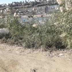 Al-Musayyib Cultural Center - Al-musayyib