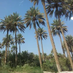 Al-Musayyib Public Park - Al-musayyib