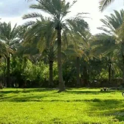 Al-Musayyib Public Park - Al-musayyib