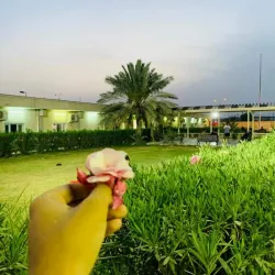 Historical Site 2 - Al-qa'im