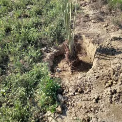 Al-Rumaitha Cultural Center - Al-Rumaitha