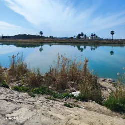 Euphrates River Banks - Al-Rumaitha