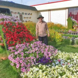 Najaf Public Park - An Najaf