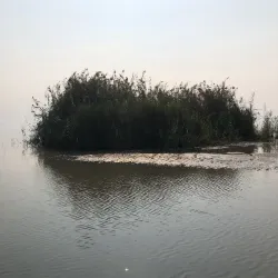 Marshlands of Southern Iraq - An Nasiriyah