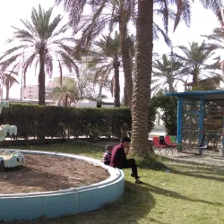 Marshlands of Southern Iraq - An Nasiriyah