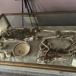 Nasiriyah Museum - An Nasiriyah