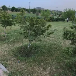 Local Parks and Recreation Areas - Ar Ramadi