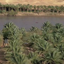 Euphrates River - As Samawah