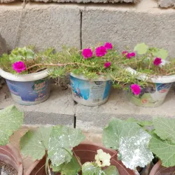 Az Zubayr Cultural Center - Az Zubayr