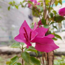 Az Zubayr Public Park - Az Zubayr