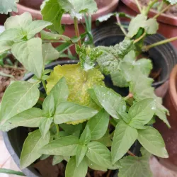 Az Zubayr Public Park - Az Zubayr