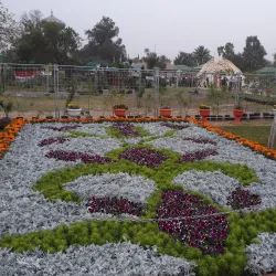 Baghdad Zoo - Baghdad