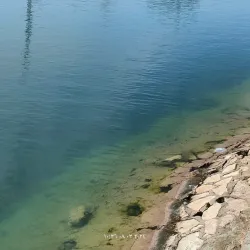 Baghdad Zoo - Baghdad