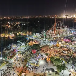 Baghdad Zoo - Baghdad