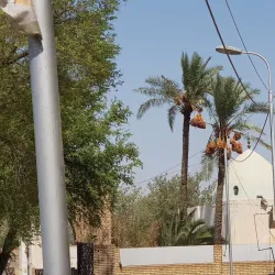 Baghdadi Mosque - Baghdadi