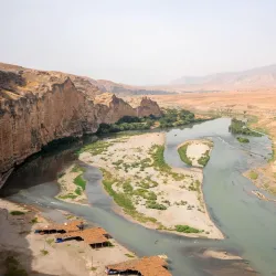 Euphrates River - Baghdadi