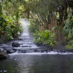 Tigris-Euphrates Marshlands (nearby) - Baghdadi