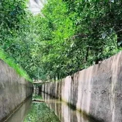 Diyala River - Ba'qubah