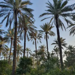 Diyala River - Ba'qubah