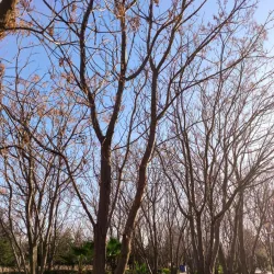 Sami Abdulrahman Park - Erbil (Irbil)