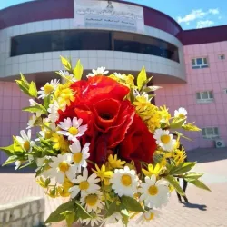 Halabja Cultural Center - Halabjah