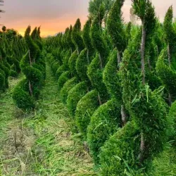 Halabja Old Town - Halabjah