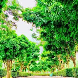 Sharbazher Park - Halabjah