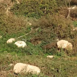 Bazyan Village - Kalar
