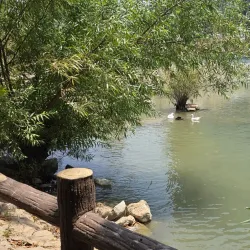 Sarchnar Village - Kalar