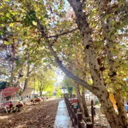 Sarchnar Village - Kalar