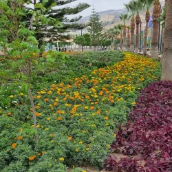 Al-Mashhad Public Park - Mashhad