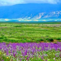 Sinjar Mountain - Sinjar