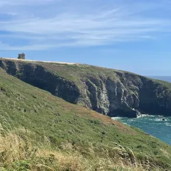 Ardmore Cliff Walk - Ardmore