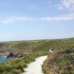 Ardmore Harbour - Ardmore