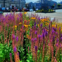 Ardmore Heritage Centre - Ardmore