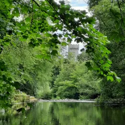 Ardmore Heritage Centre - Ardmore