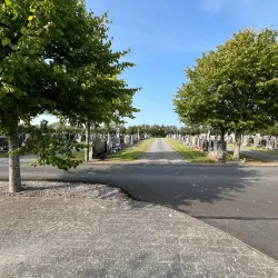 Dardistown Cemetery - Ashbourne