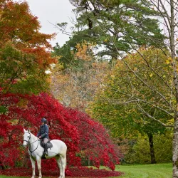 Ashford Castle (Wicklow) - Ashford