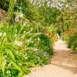 Kilmacurragh Botanic Gardens - Ashford