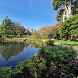 Kilmacurragh Botanic Gardens - Ashford