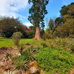 Kilmacurragh Botanic Gardens - Ashford