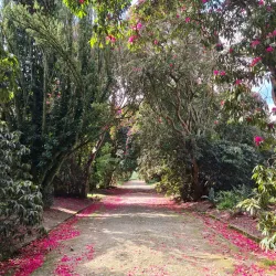 Kilmacurragh Botanic Gardens - Ashford