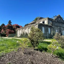 Kilmacurragh Botanic Gardens - Ashford