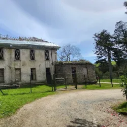 Kilmacurragh Botanic Gardens - Ashford