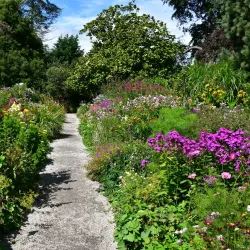 Mount Usher Gardens - Ashford