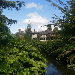 Mount Usher Gardens - Ashford