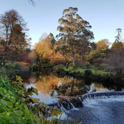 Mount Usher Gardens - Ashford