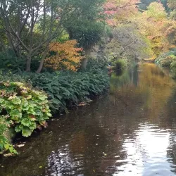 Mount Usher Gardens - Ashford